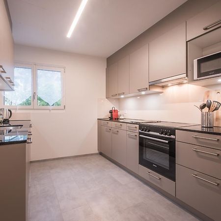 City Center Apartment - Інтерлакен Екстер'єр фото